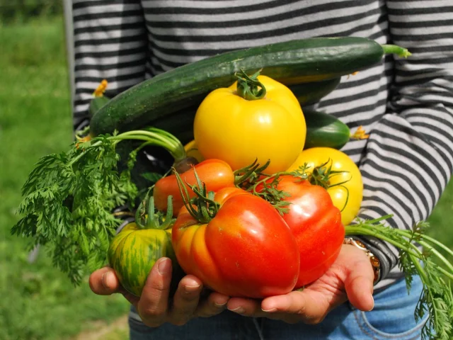 Vente à la Ferme & Drive Fermier