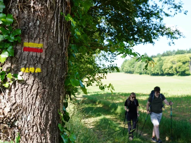 Chemin De Randonnee Champnetery