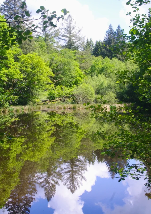 Etang De Lancien Moulin De Lourtaud Champnetery