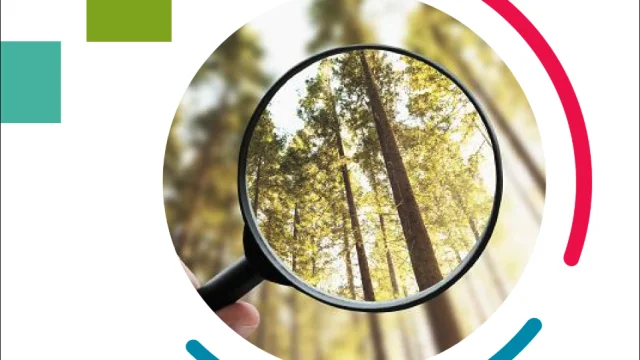 Guides Des Demarches De Labellisation 2025
