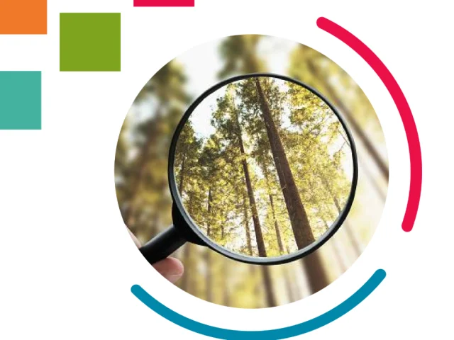 2025 Certification Guides