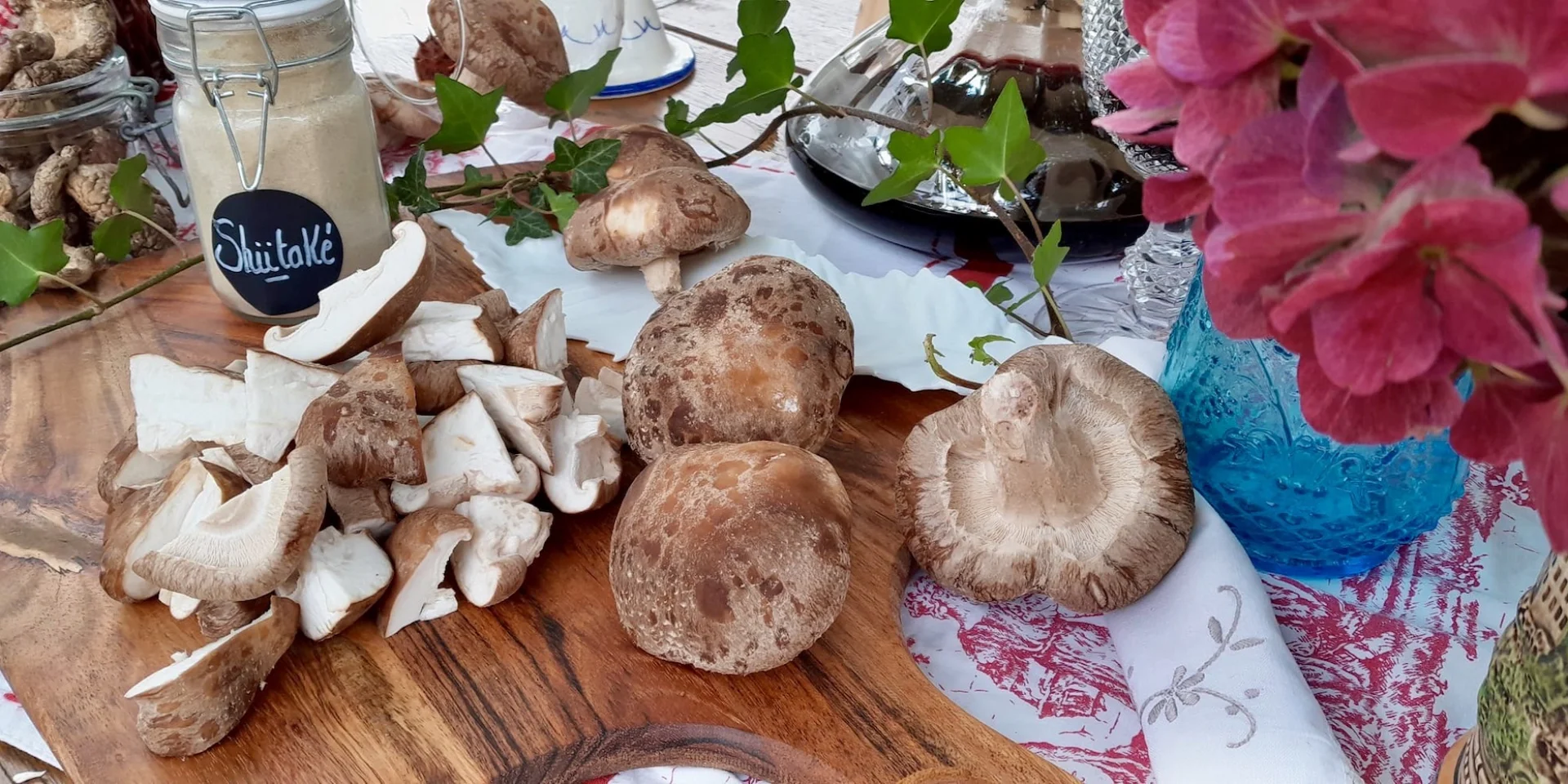 Les Champigons De Gaudeix