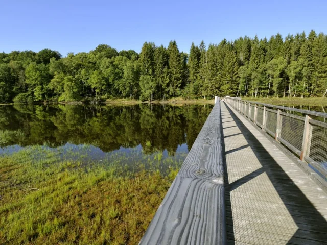Balades en Limousin - Sentier de rives du Lac de Vassivière