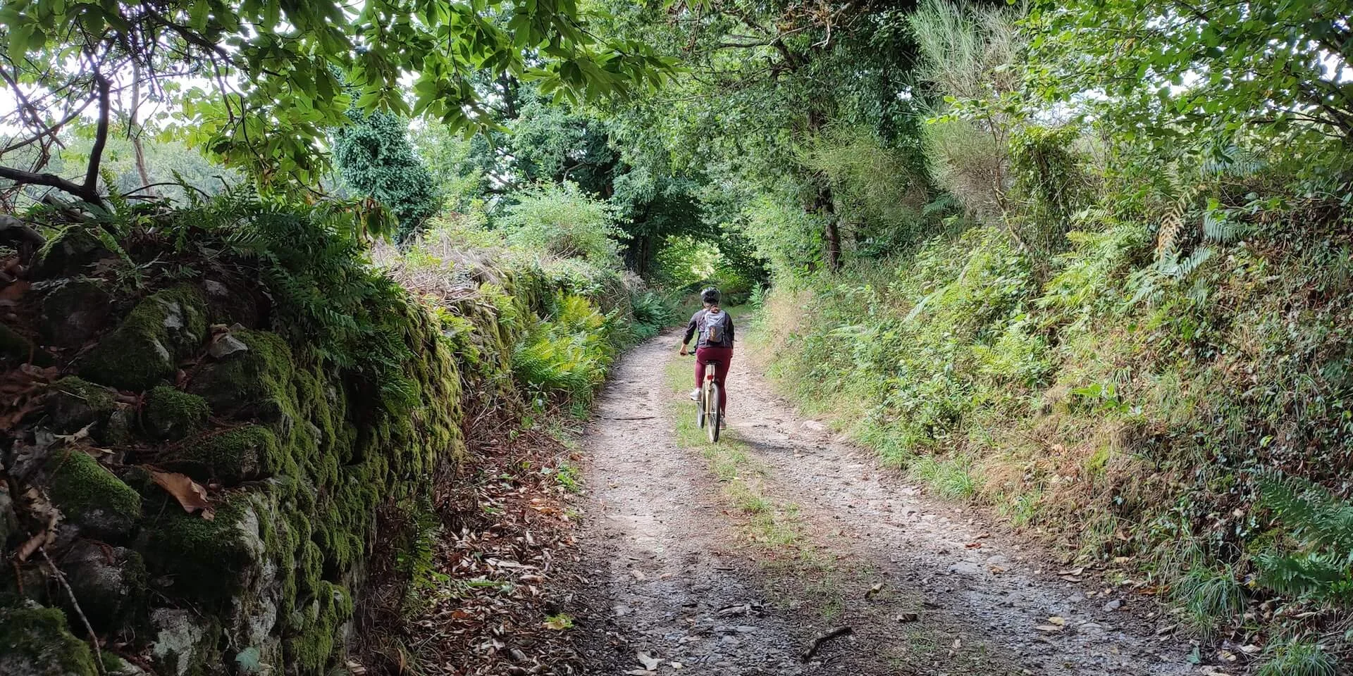 Grpmbl Chemin Creux Vtt Villavaleix Sainte Anne Saint Priest C Pays Monts Et Barrages