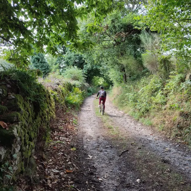 Grpmbl Chemin Creux Vtt Villavaleix Sainte Anne Saint Priest C Pays Monts Et Barrages