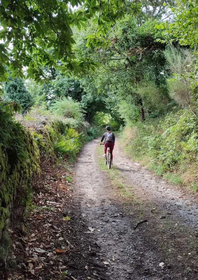 Grpmbl Chemin Creux Vtt Villavaleix Sainte Anne Saint Priest C Pays Monts Et Barrages