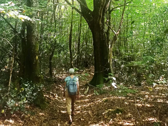 Randonnée sur les pas des maquisards au Mont Gargan