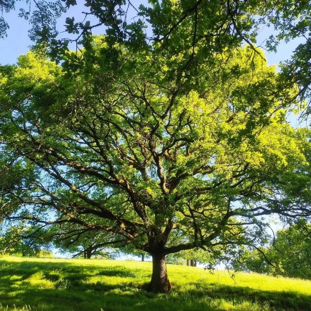 Instagram #visitlimousin