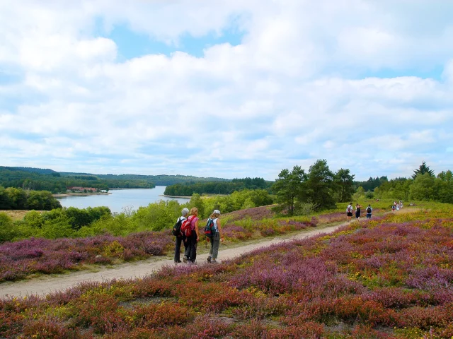 A walk around Lac De Saint Pardoux