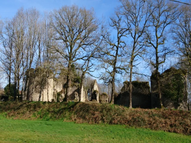 Chateau De Lavauguyon 1