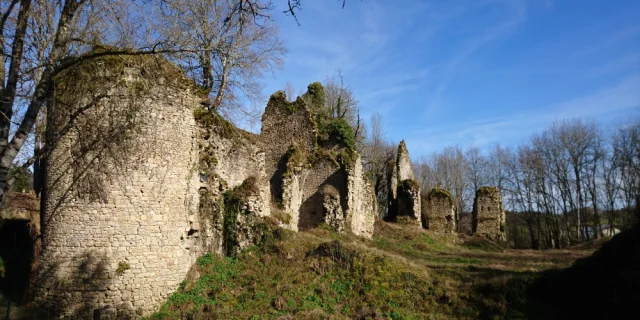 Chateau De Lavauguyon 2