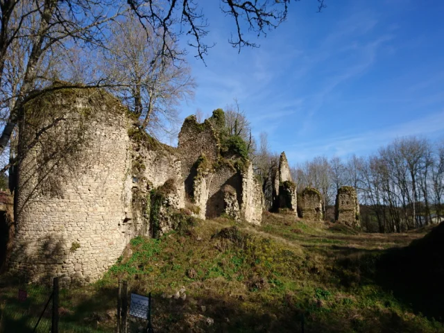 Chateau De Lavauguyon 2