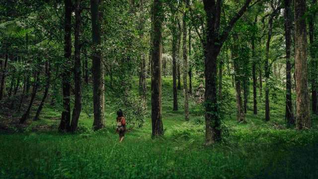 Hiking in Haute Vienne