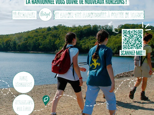 Affiche Loopi Definitive
