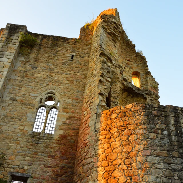 Chateau Chalus Maulmont Helene B 1