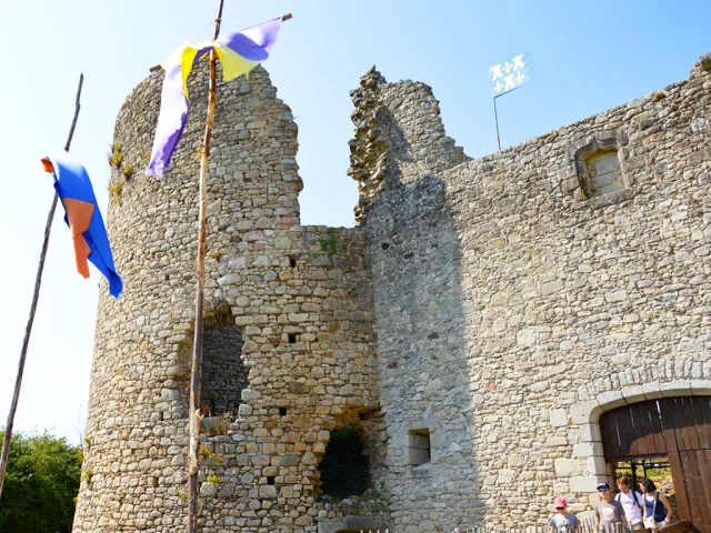 Chateau De Lastours Helene B 1