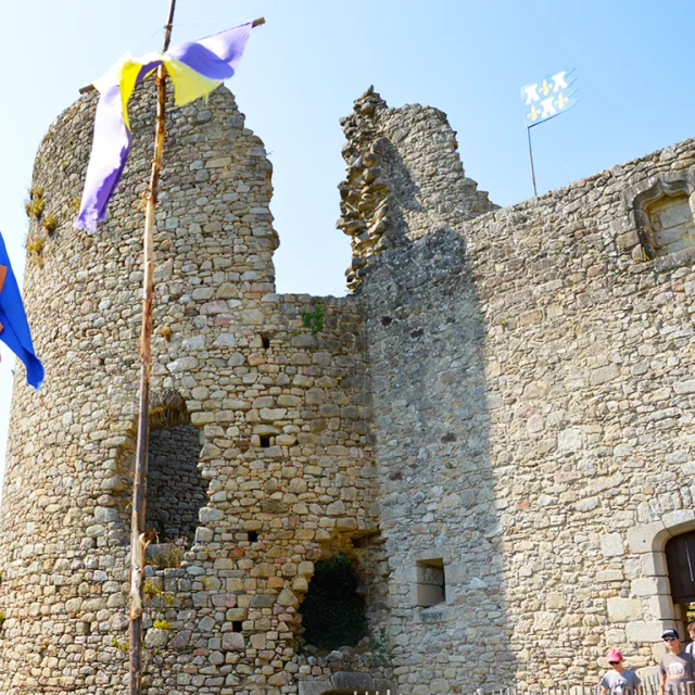 Chateau De Lastours Helene B 1