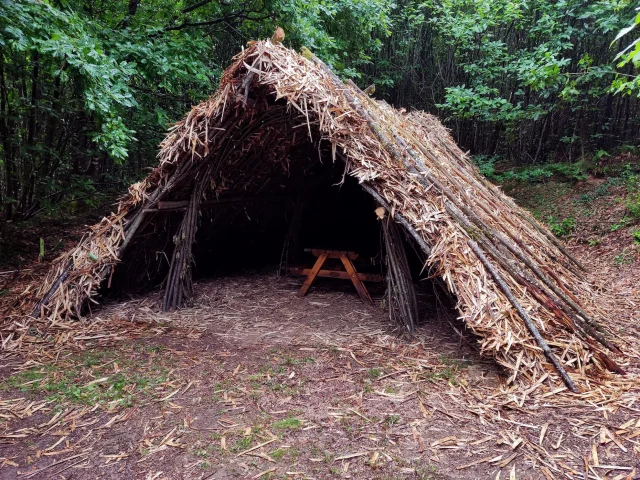 Balade à pied en Haute-Vienne - Cabane des feuillardiers dans la Forêt de Boubon à Cussac