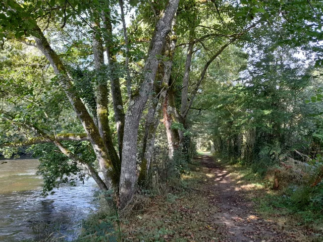 Balade à pied familiale le long de la Vienne après la visite du Moulin du Got à Saint-Léonard de Noblat