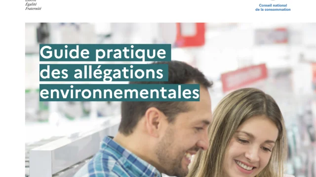 Guide to Environmental Allegations