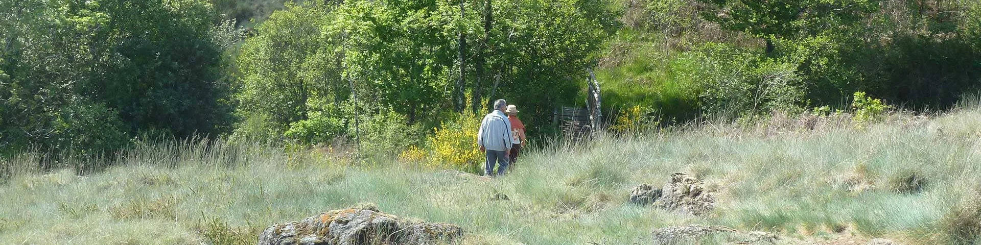 Les sentiers d'interprétation en Limousin - Sentier de la serpentine à La Roche l'Abeille site Natura 2000