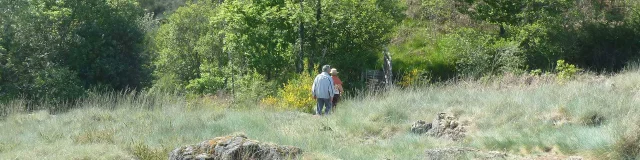 Les sentiers d'interprétation en Limousin - Sentier de la serpentine à La Roche l'Abeille site Natura 2000