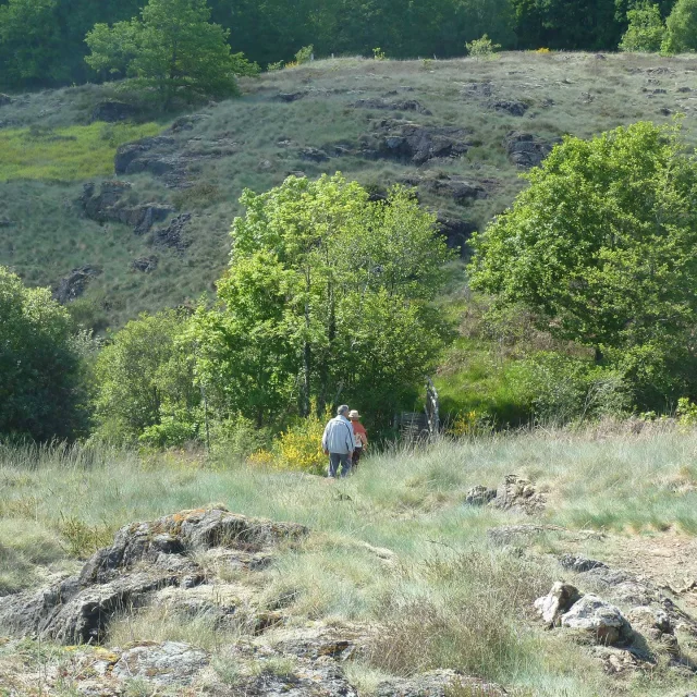Les Sentiers Dinterpretation En Limousin Sentier De La Serpentine A La Roche Labeille Site Natura 2000