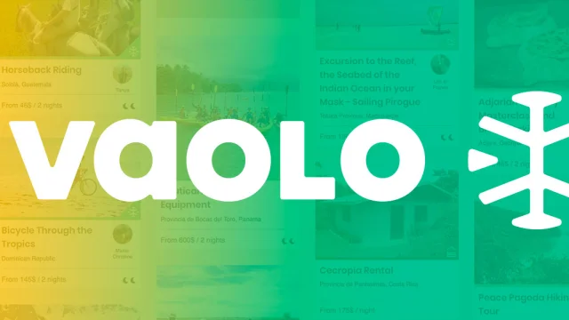 Vaolo logo