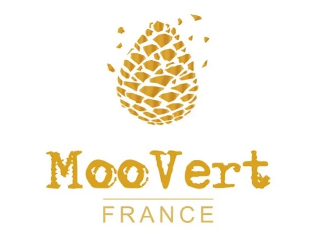 Moovert logo