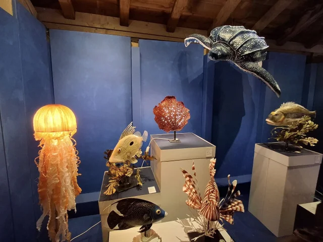 Oceans an exhibition to see at the Moulin du Got during your family vacation in Saint-Léonard de Noblat