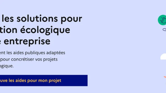 Transition Platform for VSEs and SMEs