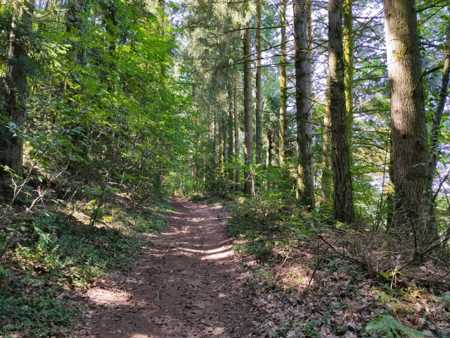 Randonner à Champnétery près de Saint Léonard de Noblat sur des sentiers de petite randonnée et le GRP Monts et Barrages