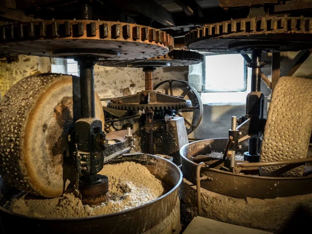 Visite ludique du Moulin du Got