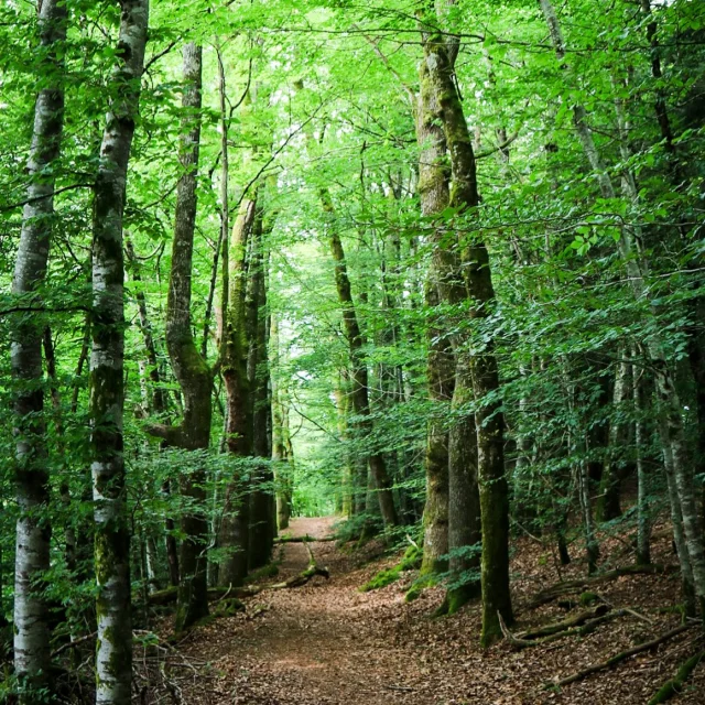 Instagram #visitlimousin