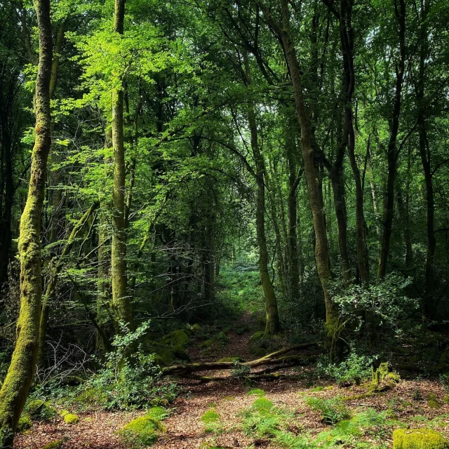 Instagram #visitlimousin
