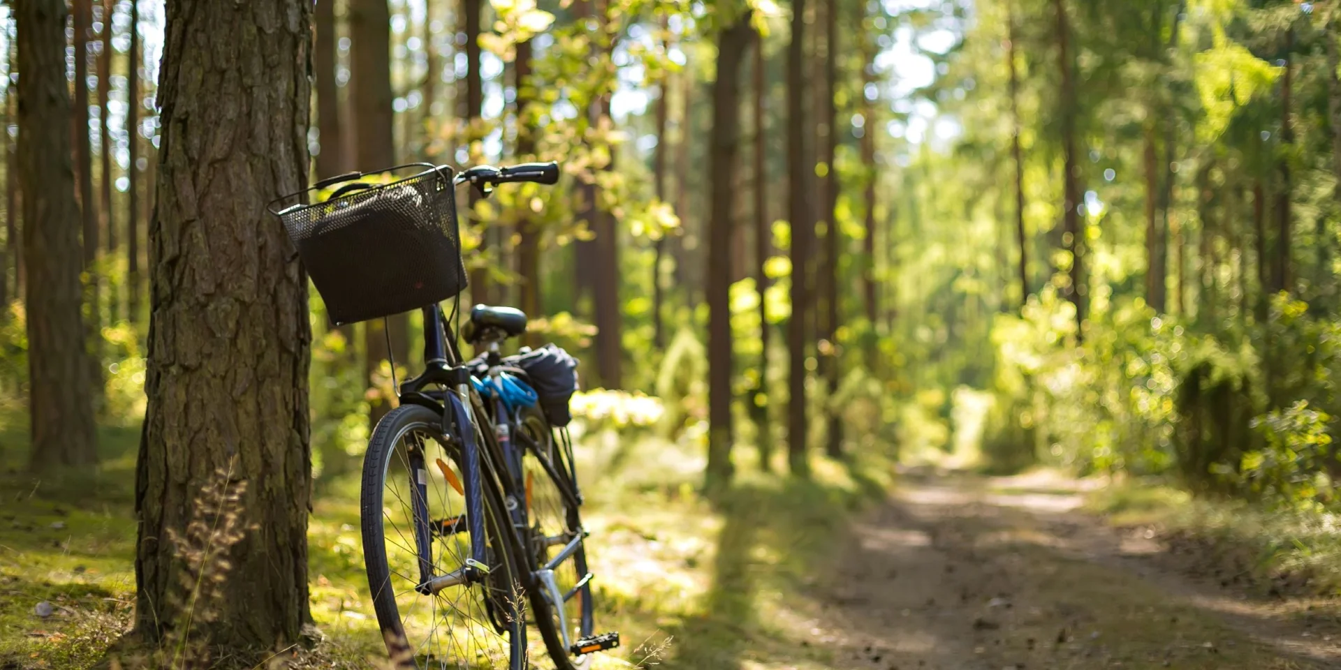 Bike Rides