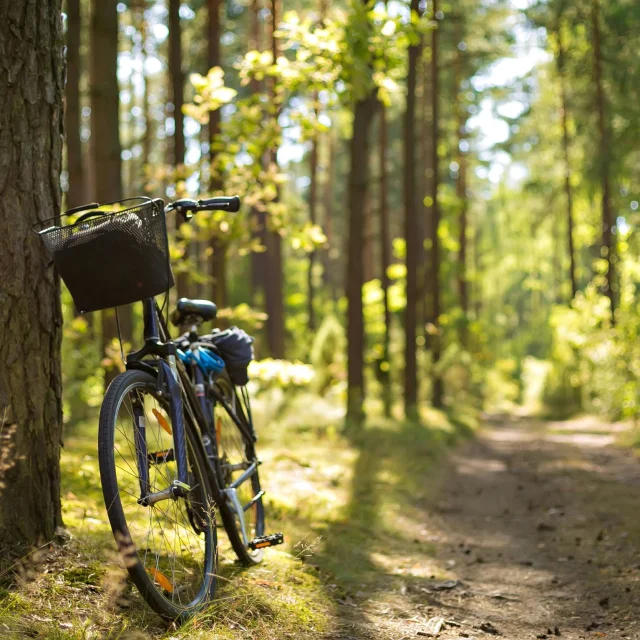 Bike Rides