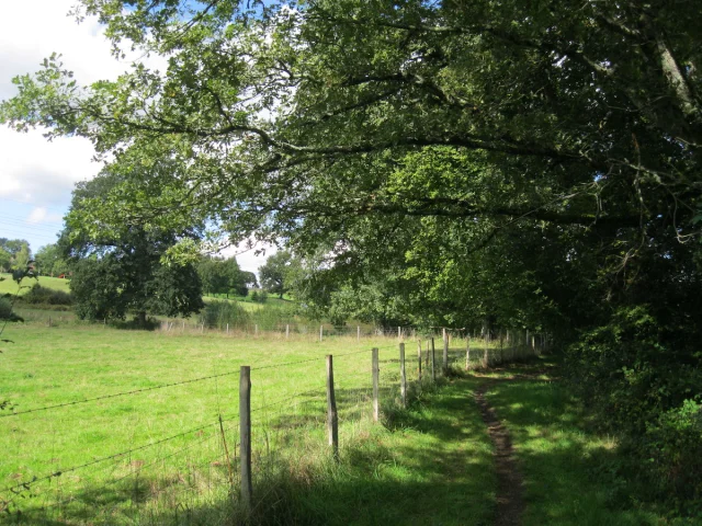 Chemin Du Moulin Blanc