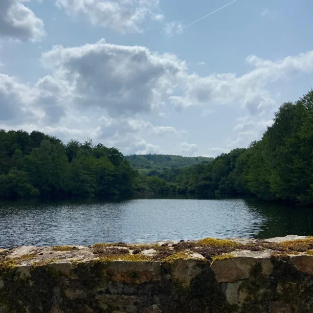 Etang De Belzanne Bersac Sur Rivalier