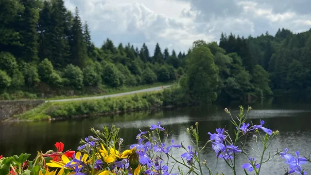 Fleurs Pont Chatelus Le Marcheix