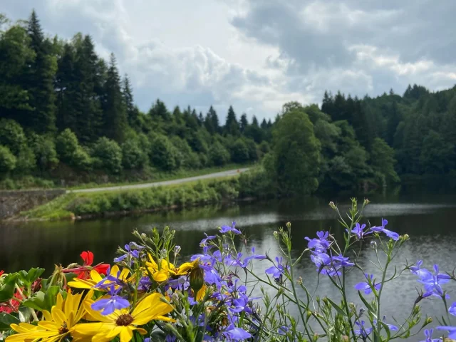 Fleurs Pont Chatelus Le Marcheix