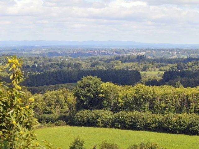 Dog walking around me in the NRP Périgord Limousin