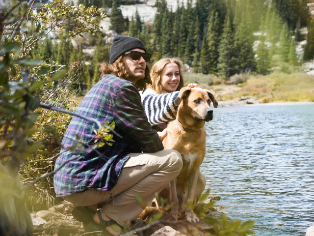 Hiking with your dog at Lac de Saint Pardoux en Limousin