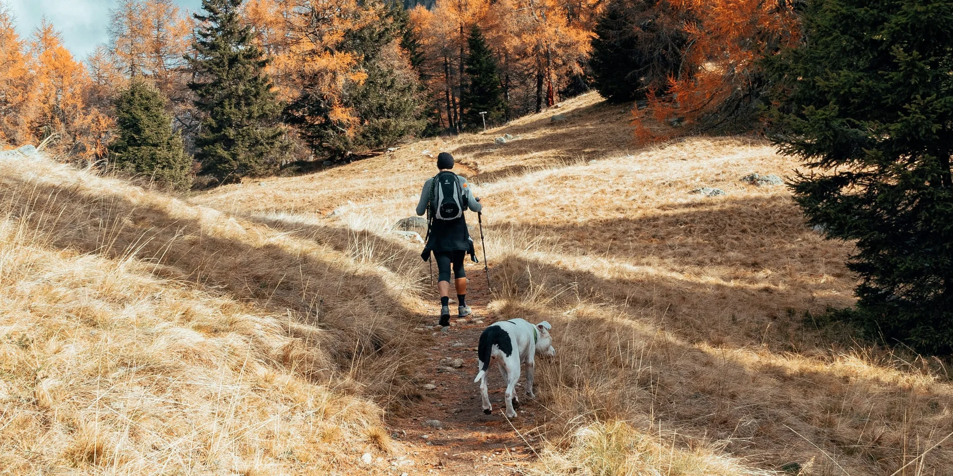 Hikes and walks with your dog in Limousin