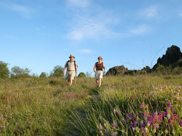 Autumn walks and hikes in Limousin - Lande de la Flotte et du Cluzeau at Château-Chervix on the shepherds' and tile-makers' path