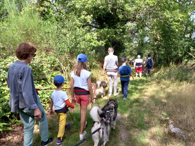Hiking with your dog with Cani-Rando in Haute-Vienne