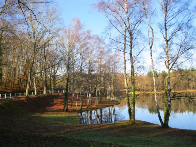 Reserve De La Mazelle En Automne