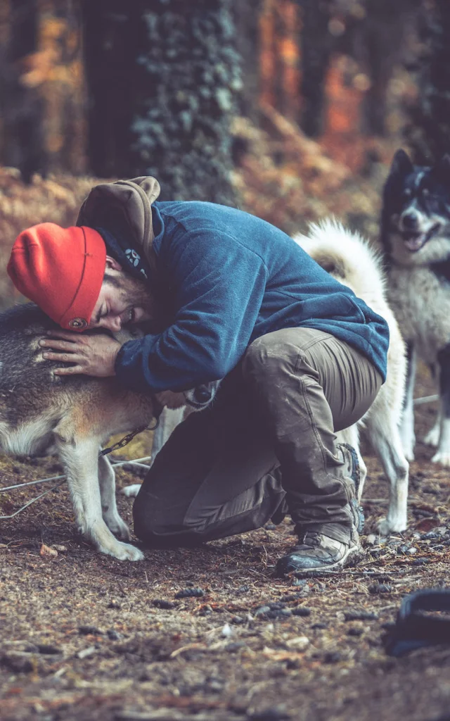 Dog sledding with Skodenar for an unusual holiday in Limousin.