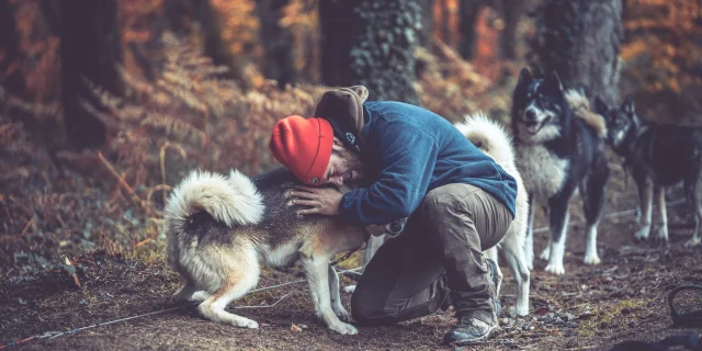 Dog sledding with Skodenar for an unusual holiday in Limousin.