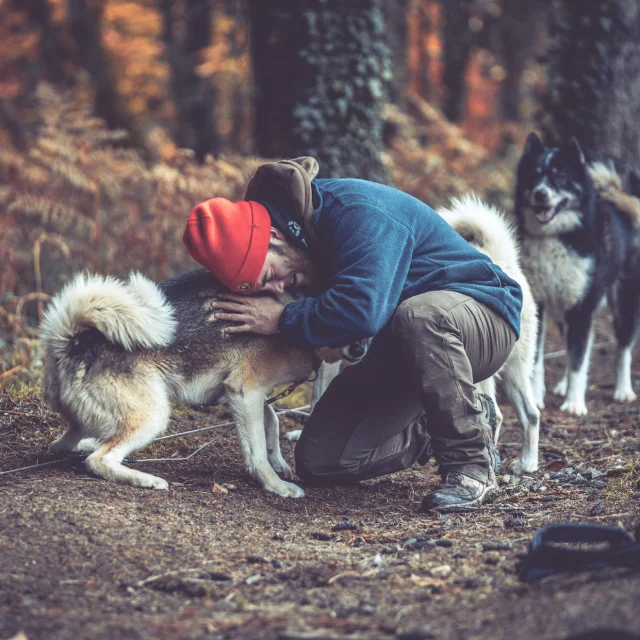Dog sledding with Skodenar for an unusual holiday in Limousin.